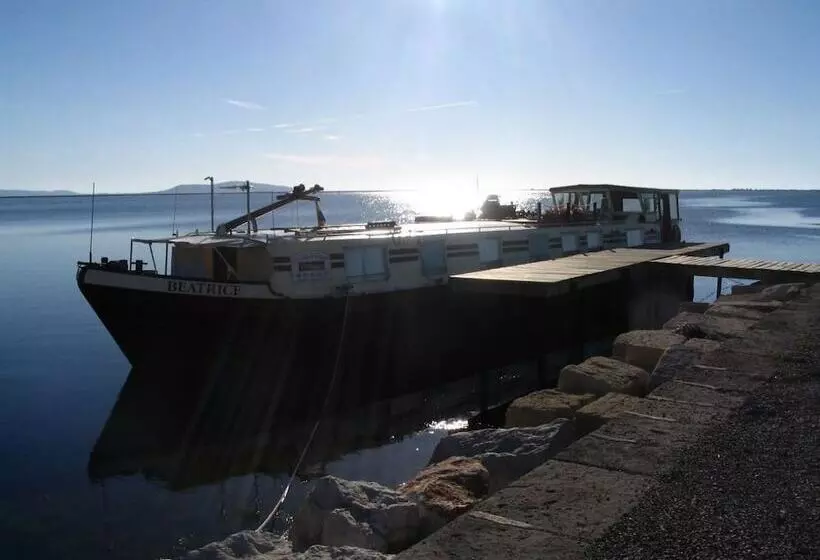 ホテル Barge Beatrice Cruises On The Canal Du Midi
