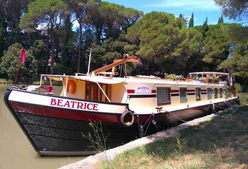 호텔 Barge Beatrice Cruises On The Canal Du Midi