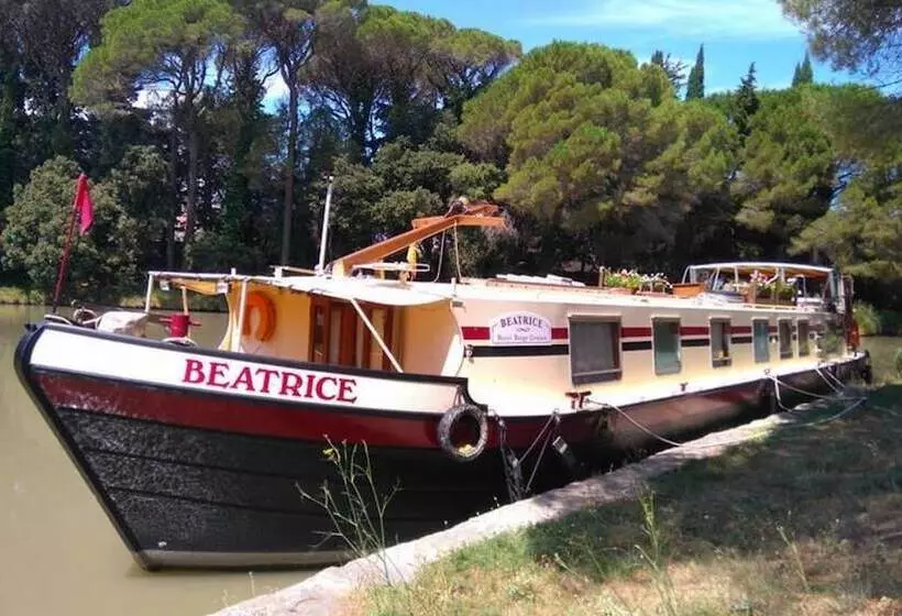ホテル Barge Beatrice Cruises On The Canal Du Midi