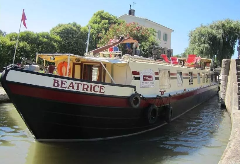 ホテル Barge Beatrice Cruises On The Canal Du Midi