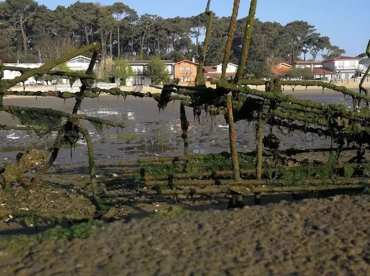 La Cabane Du Truquet