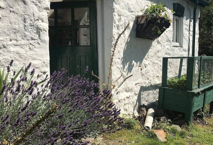 Hapus Yurt Two Beautiful Yurts And Barn Cottage