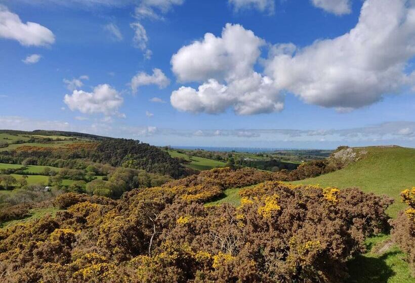 Hapus Yurt   Two Beautiful Yurts And Barn Cottage