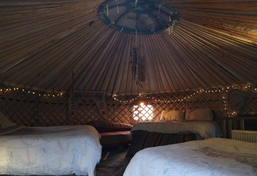 Hapus Yurt   Two Beautiful Yurts And Barn Cottage