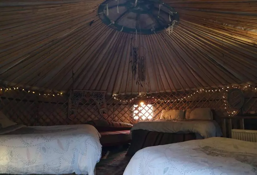 Hapus Yurt   Two Beautiful Yurts And Barn Cottage