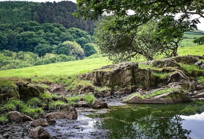 Hapus Yurt   Two Beautiful Yurts And Barn Cottage