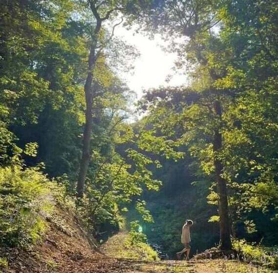 Hapus Yurt   Two Beautiful Yurts And Barn Cottage