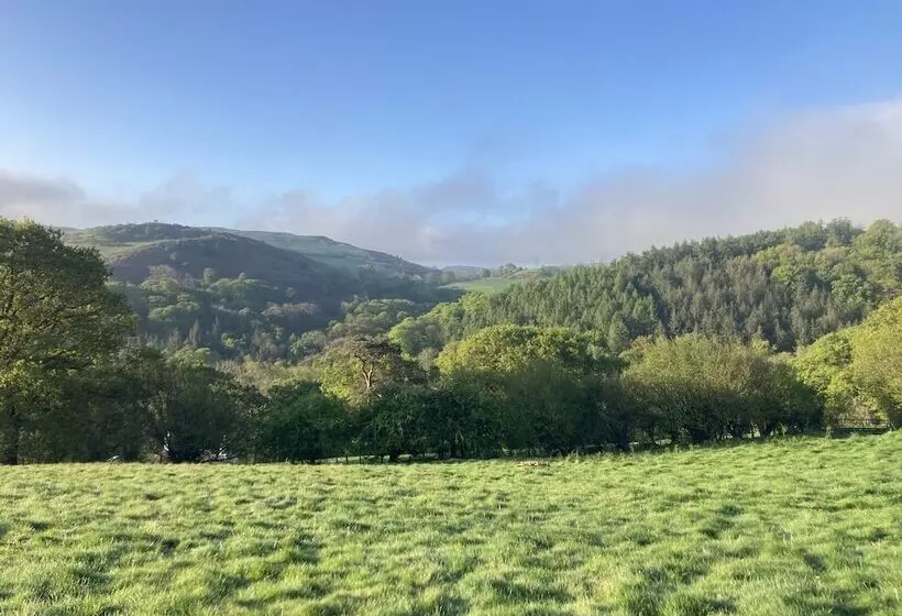 Hapus Yurt   Two Beautiful Yurts And Barn Cottage