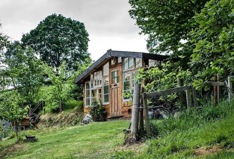 Hapus Yurt   Two Beautiful Yurts And Barn Cottage