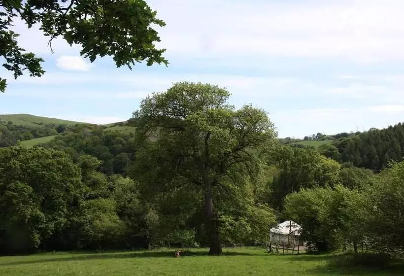 Hapus Yurt   Two Beautiful Yurts And Barn Cottage
