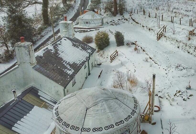Hapus Yurt   Two Beautiful Yurts And Barn Cottage