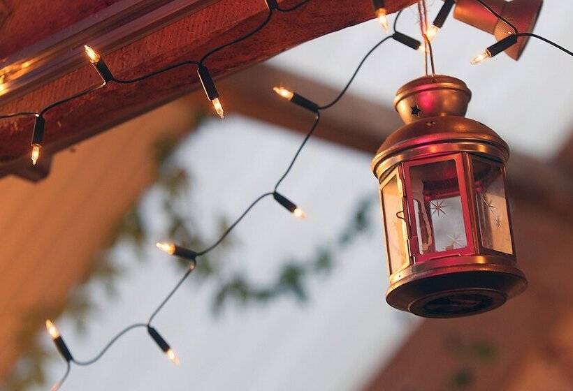 Hapus Yurt   Two Beautiful Yurts And Barn Cottage