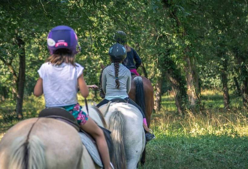 Отель Village Vacances La Martière   Oléron