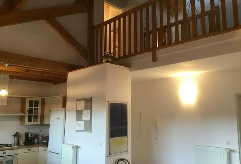 Les Balcons De La Luye