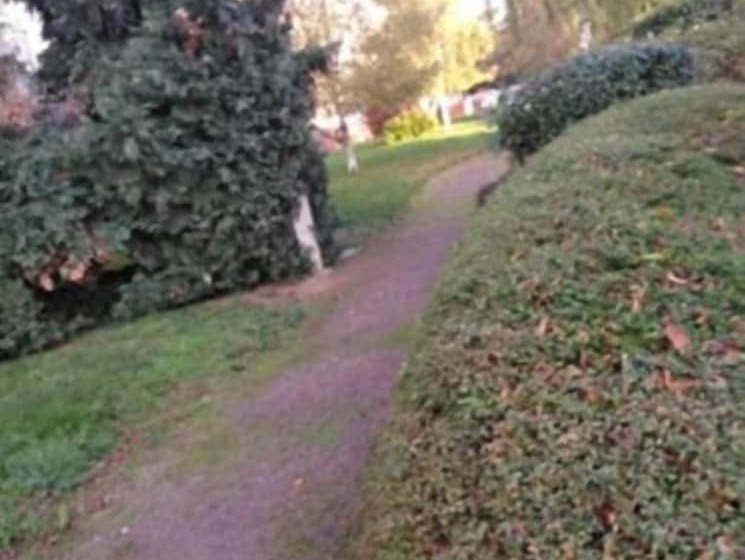 膳宿费 Chambre Rennaise