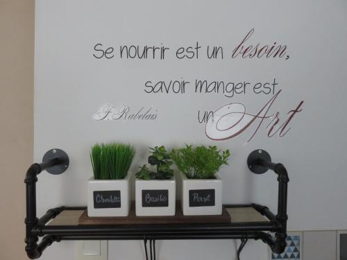 Grand Appartement Chaleureux