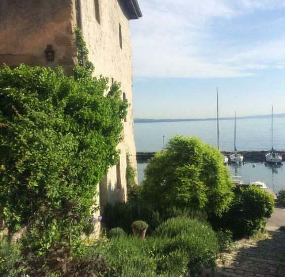 L Alcôve D Amédée V