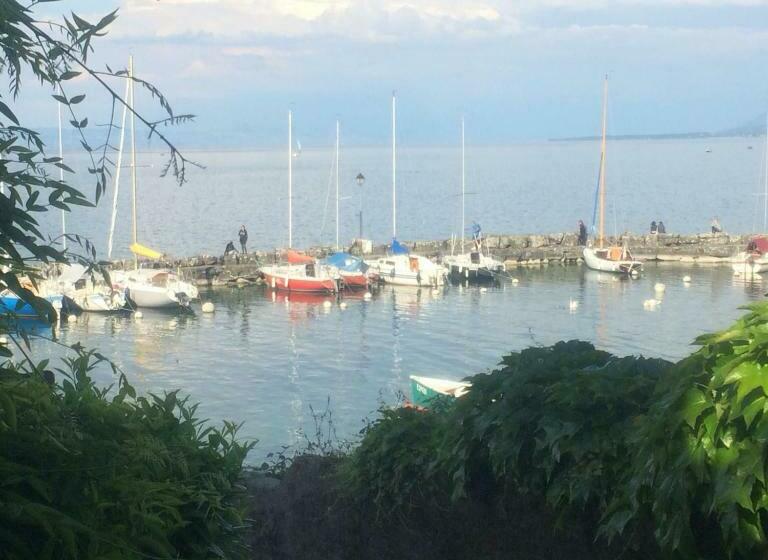 L Alcôve D Amédée V