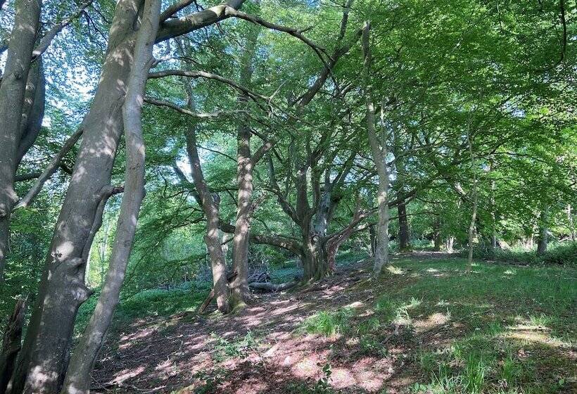 5 Charlton Mill Way B&b