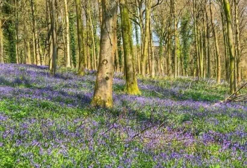 5 Charlton Mill Way B&b