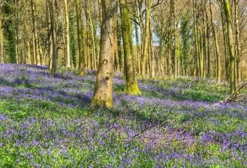 5 Charlton Mill Way B&b