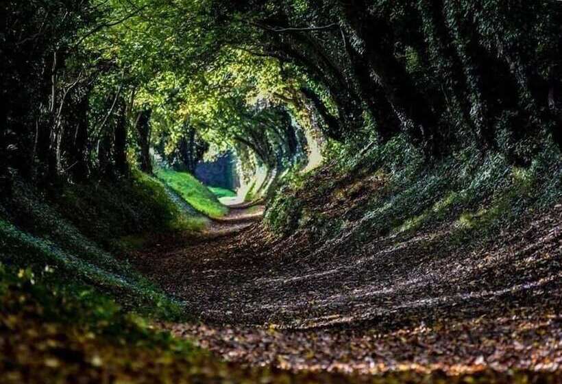 5 Charlton Mill Way B&b