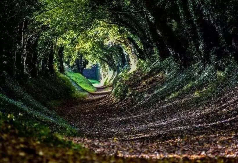 5 Charlton Mill Way B&b