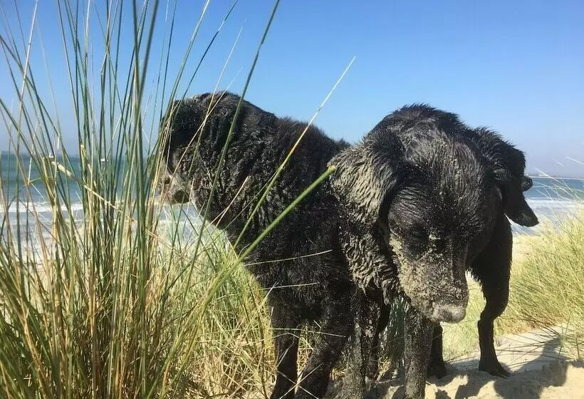 5 Charlton Mill Way B&b