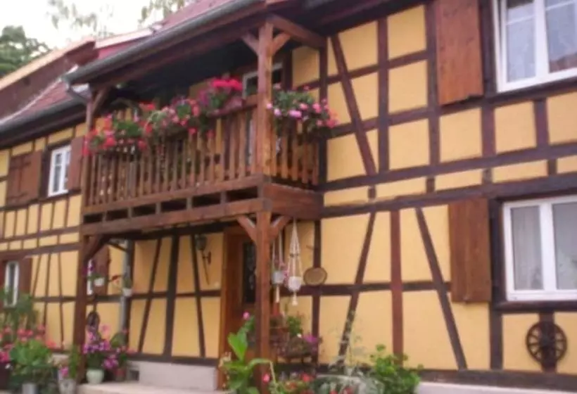 La Cour De J Anne