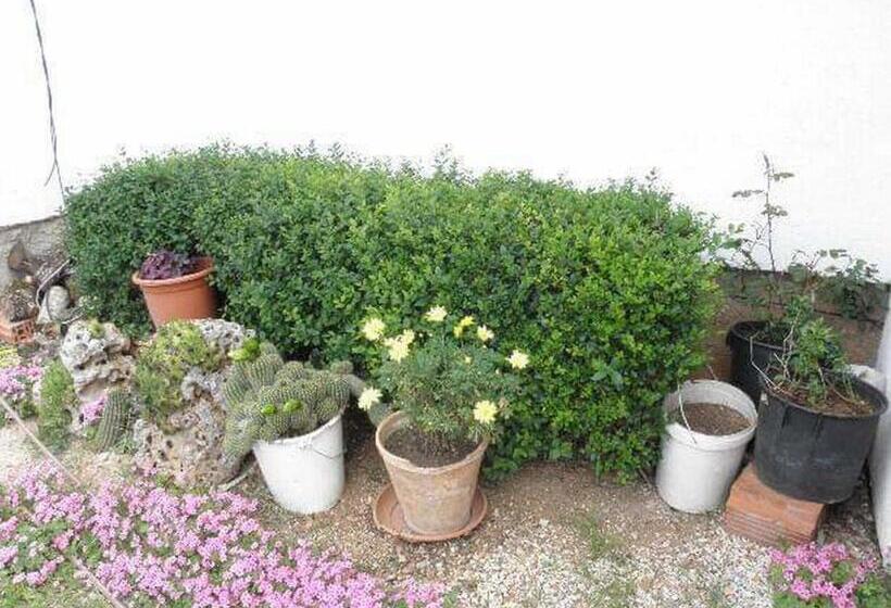 Apartment And Rooms Mila