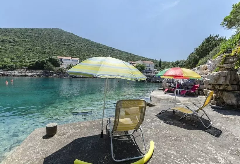 Apartments Dinko