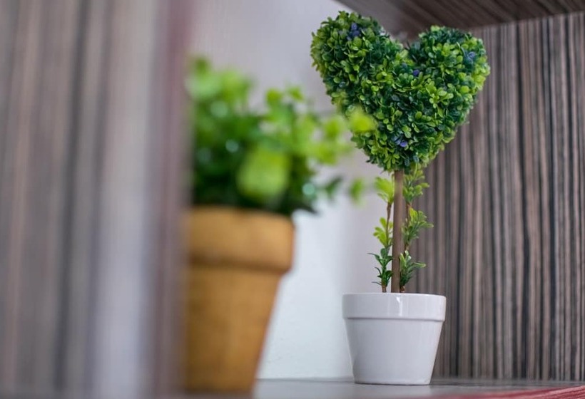 Avra Comfort Rooms  Family