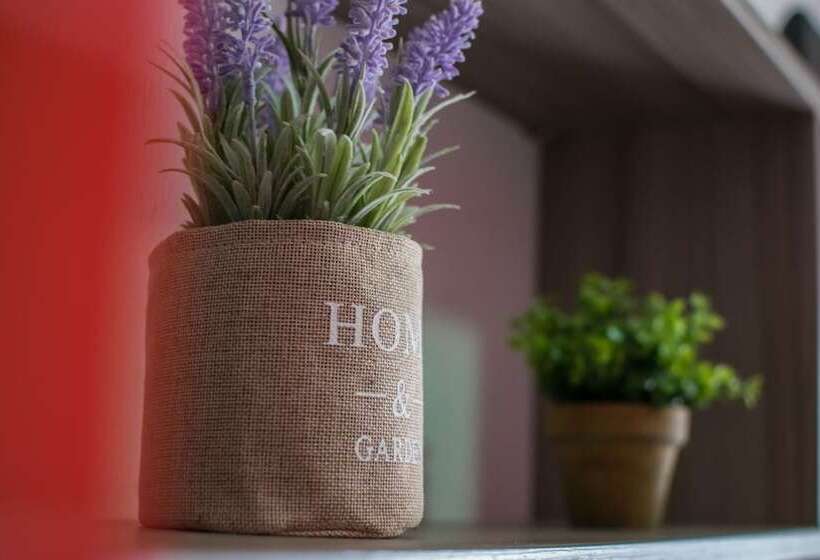 Avra Comfort Rooms  Family