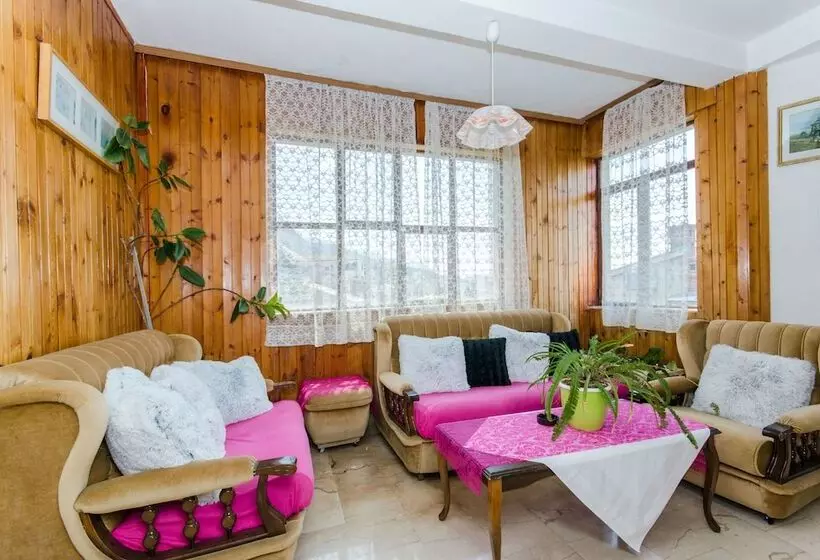 Apartment And Rooms Ivan