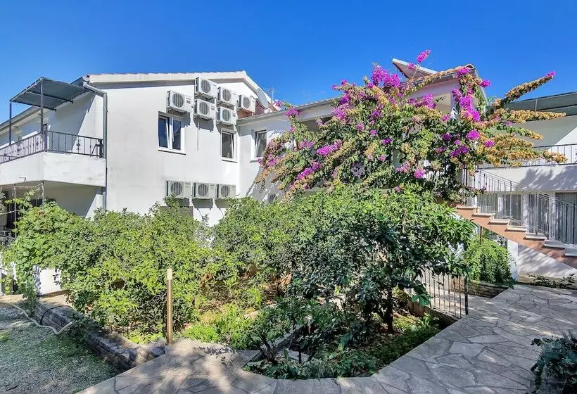 Apartments Nikola