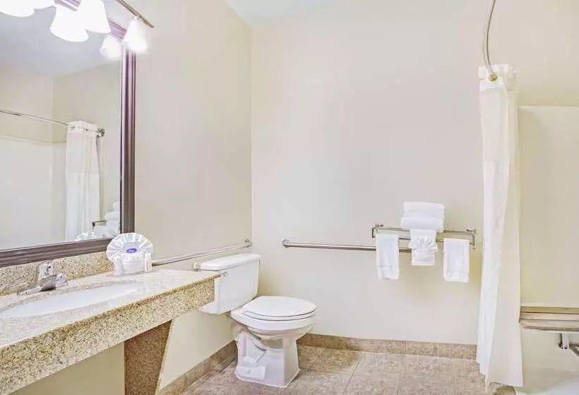 Отель Baymont By Wyndham Dallas/ Love Field