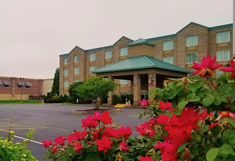 هتل Beach Boutique