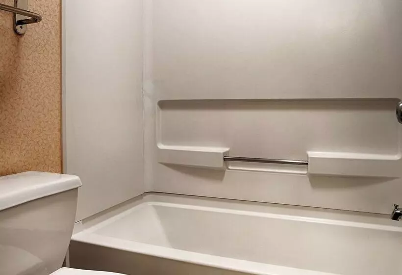 هتل Best Western Plus Edison Inn