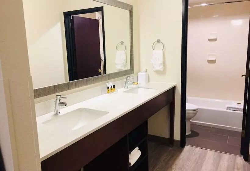 Best Western Plus Portland Airport Hotel & Suites