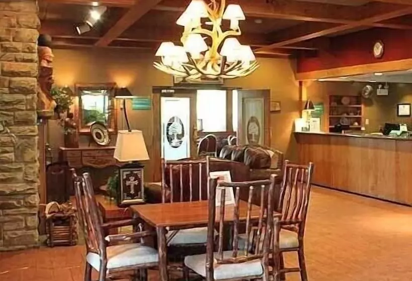 ホテル Chestnut Tree Inn  Cherokee