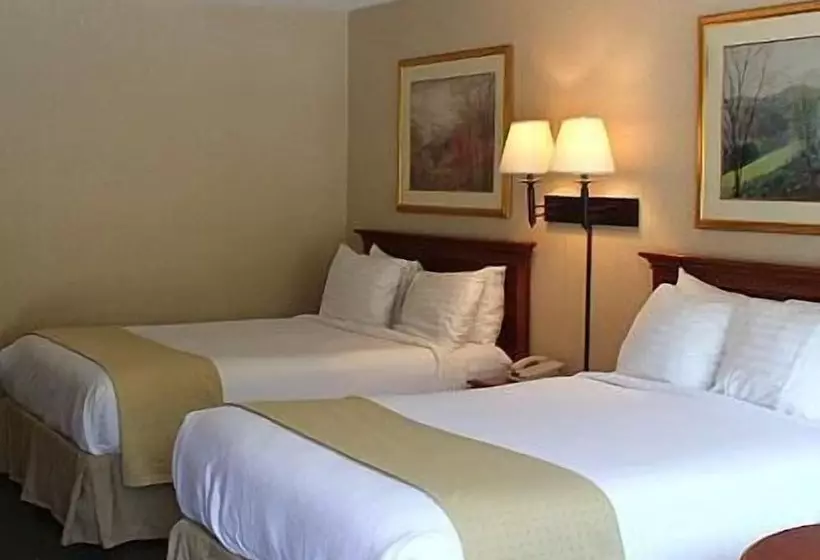 ホテル Chestnut Tree Inn  Cherokee