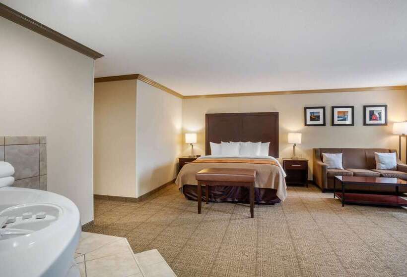 هتل Comfort Inn Castro Valley