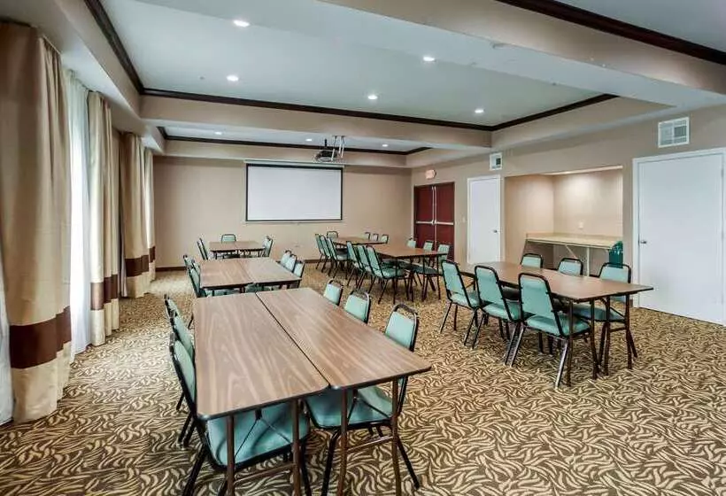 Отель Comfort Inn & Suites Fm1960 Champions