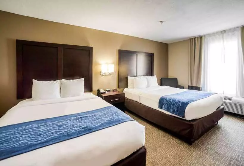 Отель Comfort Inn & Suites Fm1960 Champions