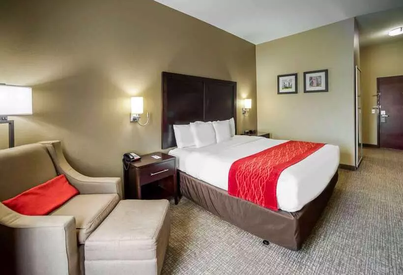 Отель Comfort Inn & Suites Fm1960 Champions