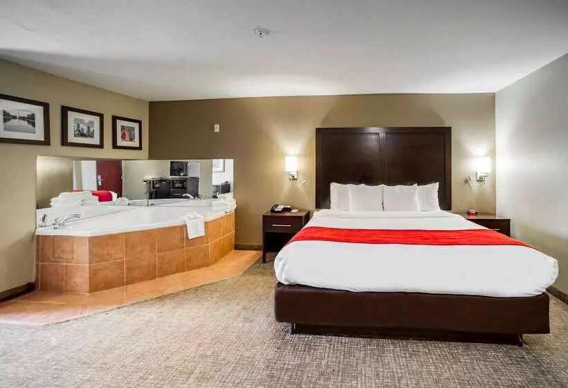 Отель Comfort Inn & Suites Fm1960 Champions