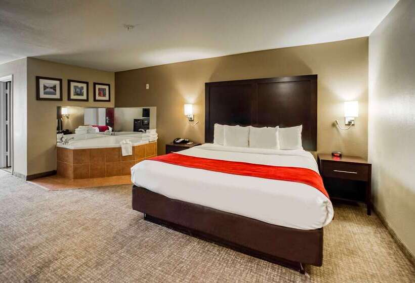 هتل Comfort Inn & Suites Fm1960 Champions