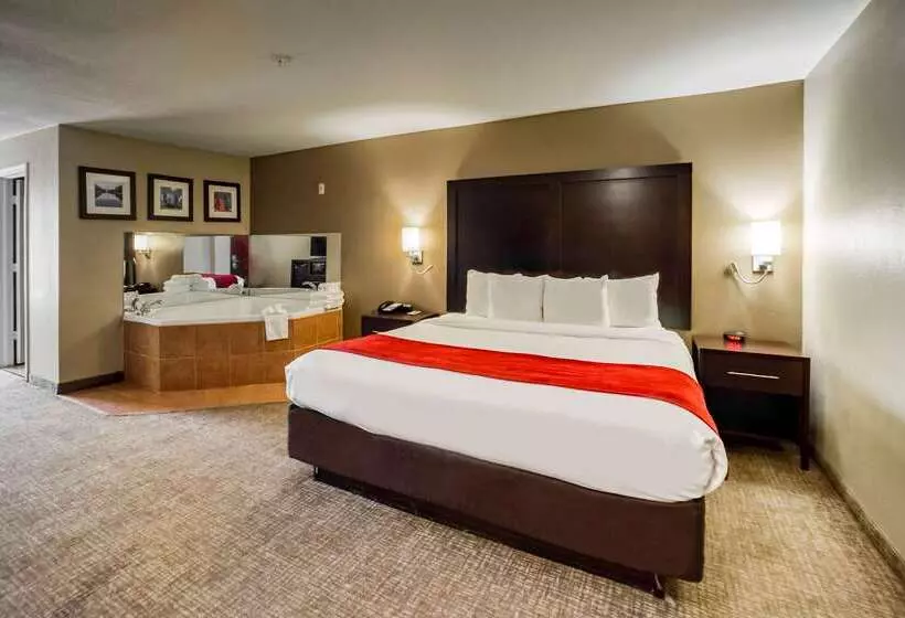 Отель Comfort Inn & Suites Fm1960 Champions