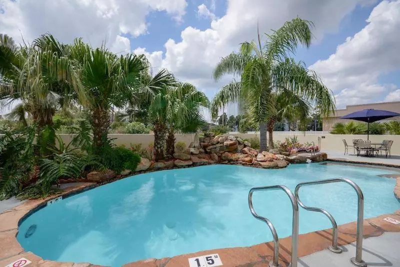 Отель Comfort Inn & Suites Fm1960 Champions