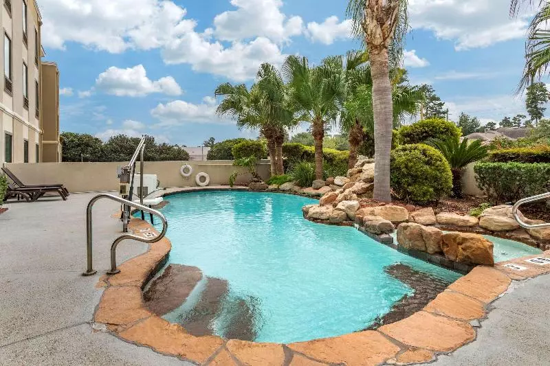 Отель Comfort Inn & Suites Fm1960 Champions